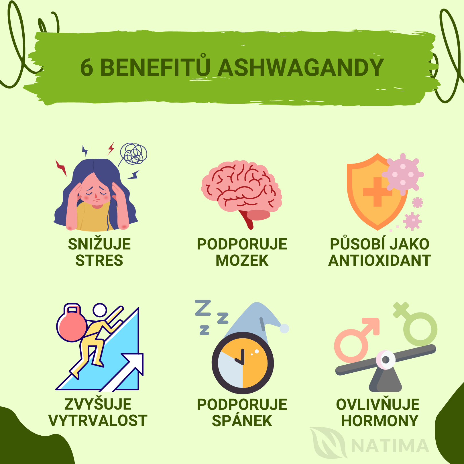 6 BENEFITŮ ASHWAGANDY